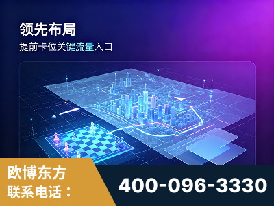 海安-领先布局：于2024年初开启GEO业务的公司